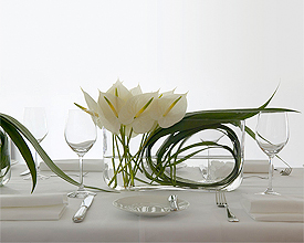 Aria Restaurant Private Dining Restaurants - Sydney, New South Wales Australia